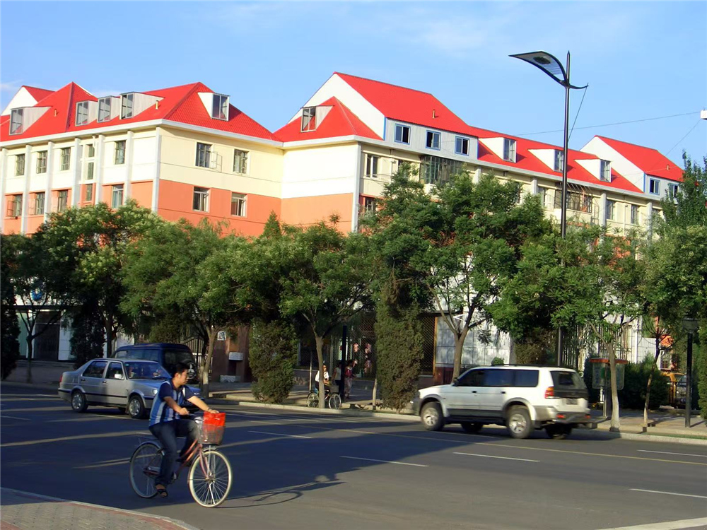 Government-led New Rural Construction